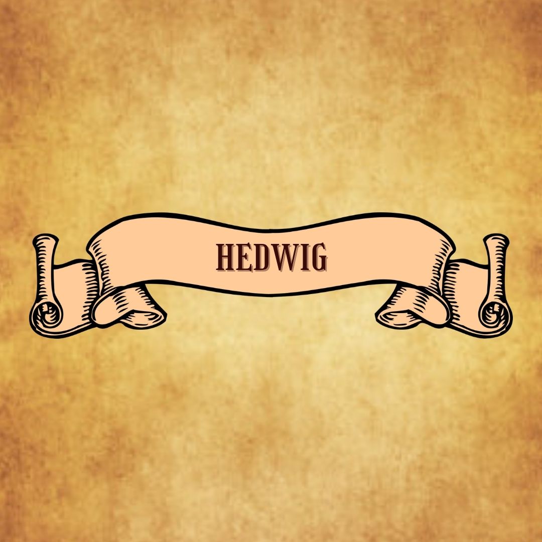 hedwig quiz